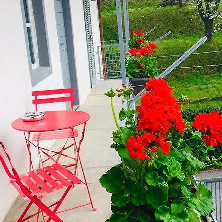 Bacchetta - Forest View *