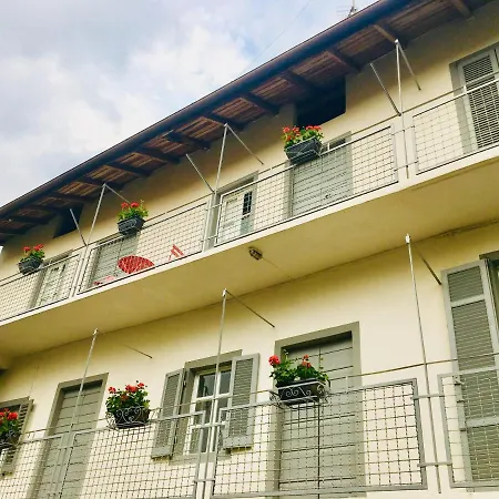 Bacchetta - Forest View