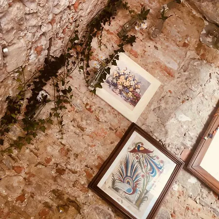 Bacchetta - Forest View Apartamento *